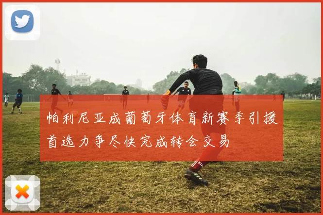 帕利尼亚成葡萄牙体育新赛季引援首选力争尽快完成转会交易